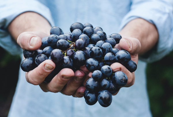 Tasting wines from high altitudes